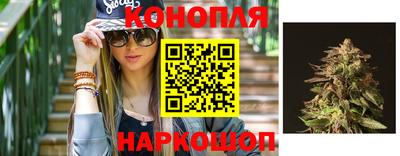 ГАЛЛЮЦИНОГЕННЫЕ ГРИБЫ Кинель