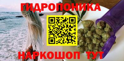 ГАЛЛЮЦИНОГЕННЫЕ ГРИБЫ Кинель